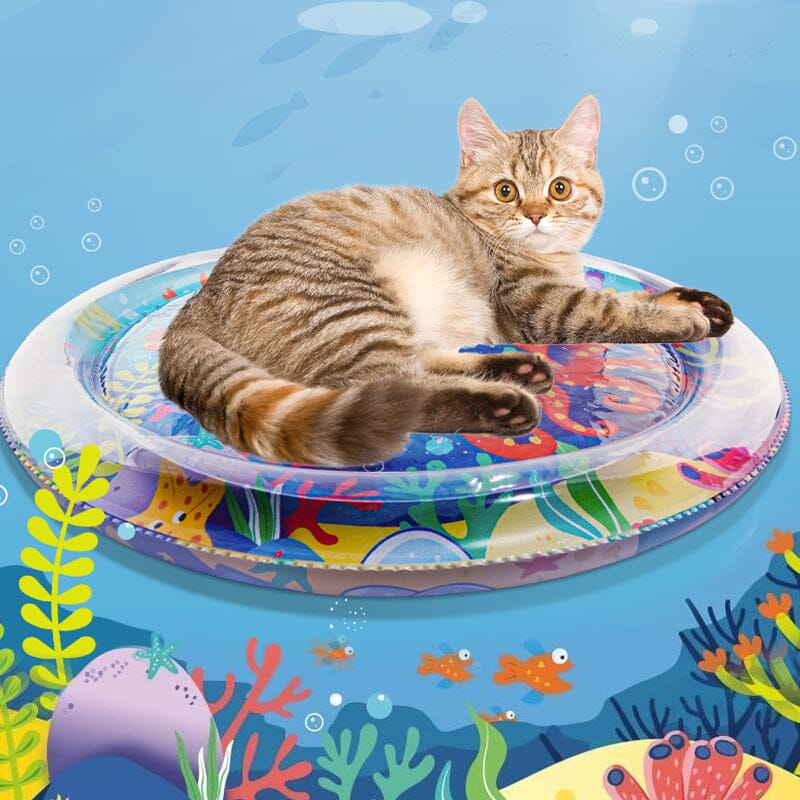 Inflatable Tummy Time Water Sensory Mat for Baby&Pet