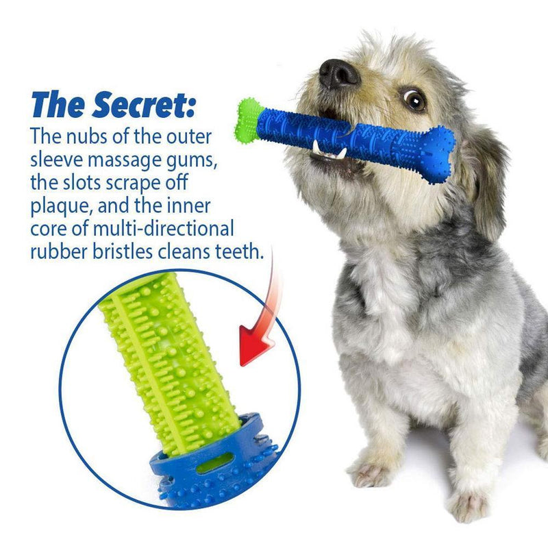 Dog Chewbrush Toothbrush | Teeth Cleaning Toy