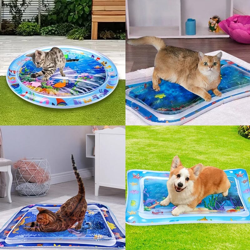 Inflatable Tummy Time Water Sensory Mat for Baby&Pet