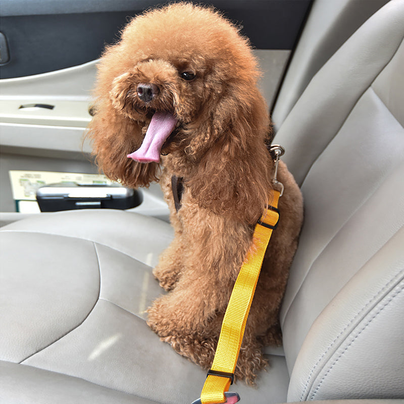 Adjustable Pet Car Seat Belt Dogs Accessoires